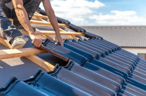 Couverture - Bois-le-Roi