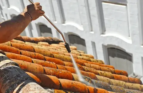 Nettoyage de toitures - Bois-le-Roi
